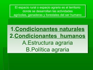 1.Condicionantes naturales
2.Condicionantes humanos
A.Estructura agraria
B.Política agraria
1.Condicionantes naturales
2.Condicionantes humanos
A.Estructura agraria
B.Política agraria
El espacio rural o espacio agrario es el territorio
donde se desarrollan las actividades
agrícolas, ganaderas y forestales del ser humano
El espacio rural o espacio agrario es el territorio
donde se desarrollan las actividades
agrícolas, ganaderas y forestales del ser humano
 
