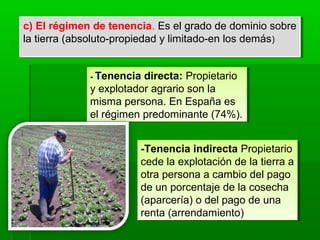 c) El régimen de tenencia. Es el grado de dominio sobre
la tierra (absoluto-propiedad y limitado-en los demás)
c) El régimen de tenencia. Es el grado de dominio sobre
la tierra (absoluto-propiedad y limitado-en los demás)
- Tenencia directa: Propietario
y explotador agrario son la
misma persona. En España es
el régimen predominante (74%).
- Tenencia directa: Propietario
y explotador agrario son la
misma persona. En España es
el régimen predominante (74%).
-Tenencia indirecta Propietario
cede la explotación de la tierra a
otra persona a cambio del pago
de un porcentaje de la cosecha
(aparcería) o del pago de una
renta (arrendamiento)
-Tenencia indirecta Propietario
cede la explotación de la tierra a
otra persona a cambio del pago
de un porcentaje de la cosecha
(aparcería) o del pago de una
renta (arrendamiento)
 