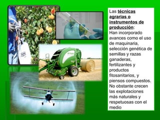 Las técnicas
agrarias o
instrumentos de
producción:
Han incorporado
avances como el uso
de maquinaria,
selección genética de
semillas y razas
ganaderas,
fertilizantes y
productos
fitosanitarios, y
piensos compuestos.
No obstante crecen
las explotaciones
más naturales y
respetuosas con el
medio
 