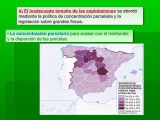 b) El inadecuado tamaño de las explotaciones se abordó
mediante la política de concentración parcelaria y la
legislación sobre grandes fincas.
b) El inadecuado tamaño de las explotaciones se abordó
mediante la política de concentración parcelaria y la
legislación sobre grandes fincas.
• La concentración parcelaria para acabar con el minifundio
y la dispersión de las parcelas.
• La concentración parcelaria para acabar con el minifundio
y la dispersión de las parcelas.
 
