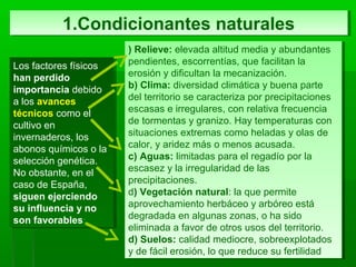 1.Condicionantes naturales1.Condicionantes naturales
Los factores físicos
han perdido
importancia debido
a los avances
técnicos como el
cultivo en
invernaderos, los
abonos químicos o la
selección genética.
No obstante, en el
caso de España,
siguen ejerciendo
su influencia y no
son favorables:
Los factores físicos
han perdido
importancia debido
a los avances
técnicos como el
cultivo en
invernaderos, los
abonos químicos o la
selección genética.
No obstante, en el
caso de España,
siguen ejerciendo
su influencia y no
son favorables:
) Relieve: elevada altitud media y abundantes
pendientes, escorrentías, que facilitan la
erosión y dificultan la mecanización.
b) Clima: diversidad climática y buena parte
del territorio se caracteriza por precipitaciones
escasas e irregulares, con relativa frecuencia
de tormentas y granizo. Hay temperaturas con
situaciones extremas como heladas y olas de
calor, y aridez más o menos acusada.
c) Aguas: limitadas para el regadío por la
escasez y la irregularidad de las
precipitaciones.
d) Vegetación natural: la que permite
aprovechamiento herbáceo y arbóreo está
degradada en algunas zonas, o ha sido
eliminada a favor de otros usos del territorio.
d) Suelos: calidad mediocre, sobreexplotados
y de fácil erosión, lo que reduce su fertilidad
) Relieve: elevada altitud media y abundantes
pendientes, escorrentías, que facilitan la
erosión y dificultan la mecanización.
b) Clima: diversidad climática y buena parte
del territorio se caracteriza por precipitaciones
escasas e irregulares, con relativa frecuencia
de tormentas y granizo. Hay temperaturas con
situaciones extremas como heladas y olas de
calor, y aridez más o menos acusada.
c) Aguas: limitadas para el regadío por la
escasez y la irregularidad de las
precipitaciones.
d) Vegetación natural: la que permite
aprovechamiento herbáceo y arbóreo está
degradada en algunas zonas, o ha sido
eliminada a favor de otros usos del territorio.
d) Suelos: calidad mediocre, sobreexplotados
y de fácil erosión, lo que reduce su fertilidad
 