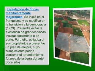 • Legislación de fincas
manifiestamente
mejorables. Se inició en el
franquismo y se modificó en
la transición a la democracia
(1979). Pretendía evitar la
existencia de grandes fincas
incultas totalmente o en
parte. Para ello, obligaba a
sus propietarios a presentar
un plan de mejora, cuyo
cumplimiento podría
conllevar el arrendamiento
forzoso de la tierra durante
doce años
• Legislación de fincas
manifiestamente
mejorables. Se inició en el
franquismo y se modificó en
la transición a la democracia
(1979). Pretendía evitar la
existencia de grandes fincas
incultas totalmente o en
parte. Para ello, obligaba a
sus propietarios a presentar
un plan de mejora, cuyo
cumplimiento podría
conllevar el arrendamiento
forzoso de la tierra durante
doce años
 