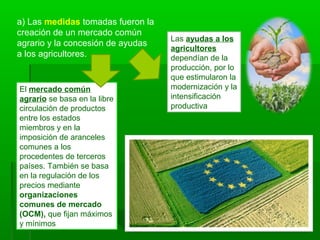 a) Las medidas tomadas fueron la
creación de un mercado común
agrario y la concesión de ayudas
a los agricultores.
El mercado común
agrario se basa en la libre
circulación de productos
entre los estados
miembros y en la
imposición de aranceles
comunes a los
procedentes de terceros
países. También se basa
en la regulación de los
precios mediante
organizaciones
comunes de mercado
(OCM), que fijan máximos
y mínimos
Las ayudas a los
agricultores
dependían de la
producción, por lo
que estimularon la
modernización y la
intensificación
productiva
 