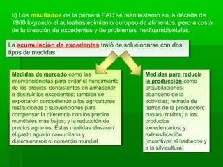 b) Los resultados de la primera PAC se manifestaron en la década de
1980 logrando el autoabastecimiento europeo de alimentos, pero a costa
de la creación de excedentes y de problemas medioambientales.
La acumulación de excedentes trató de solucionarse con dos
tipos de medidas:
La acumulación de excedentes trató de solucionarse con dos
tipos de medidas:
Medidas de mercado como las
intervencionistas para evitar el hundimiento
de los precios, consistentes en almacenar
o destruir los excedentes; también se
exportaron concediendo a los agricultores
restituciones o subvenciones para
compensar la diferencia con los precios
mundiales más bajos; y la reducción de
precios agrarios. Estas medidas elevaron
el gasto agrario comunitario y
distorsionaron el comercio mundial
Medidas de mercado como las
intervencionistas para evitar el hundimiento
de los precios, consistentes en almacenar
o destruir los excedentes; también se
exportaron concediendo a los agricultores
restituciones o subvenciones para
compensar la diferencia con los precios
mundiales más bajos; y la reducción de
precios agrarios. Estas medidas elevaron
el gasto agrario comunitario y
distorsionaron el comercio mundial
Medidas para reducir
la producción como
prejubilaciones;
abandono de la
actividad; retirada de
tierras de la producción;
cuotas (multas) a los
productos
excedentarios; y
extensificación
(incentivos al barbecho y
a la silvicultura)
Medidas para reducir
la producción como
prejubilaciones;
abandono de la
actividad; retirada de
tierras de la producción;
cuotas (multas) a los
productos
excedentarios; y
extensificación
(incentivos al barbecho y
a la silvicultura)
 