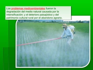 Los problemas medioambientales fueron la
degradación del medio natural causada por la
intensificación; y el deterioro paisajístico y del
patrimonio cultural rural por el abandono agrario.
Los problemas medioambientales fueron la
degradación del medio natural causada por la
intensificación; y el deterioro paisajístico y del
patrimonio cultural rural por el abandono agrario.
 