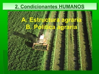2. Condicionantes HUMANOS2. Condicionantes HUMANOS
A. Estructura agraria
B. Política agraria
 