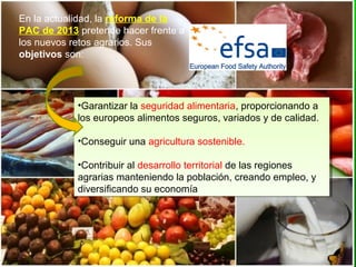 •Garantizar la seguridad alimentaria, proporcionando a
los europeos alimentos seguros, variados y de calidad.
•Conseguir una agricultura sostenible.
•Contribuir al desarrollo territorial de las regiones
agrarias manteniendo la población, creando empleo, y
diversificando su economía
•Garantizar la seguridad alimentaria, proporcionando a
los europeos alimentos seguros, variados y de calidad.
•Conseguir una agricultura sostenible.
•Contribuir al desarrollo territorial de las regiones
agrarias manteniendo la población, creando empleo, y
diversificando su economía
En la actualidad, la reforma de la
PAC de 2013 pretende hacer frente a
los nuevos retos agrarios. Sus
objetivos son:
 