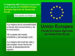 El segundo pilar financia el desarrollo
rural a través del FEADER (Fondo
Europeo Agrícola de Desarrollo
Rural).
Sus ayudas se dirigen a:
•La mejora de la competitividad
a través del conocimiento y de
la innovación.
•El cuidado del medio
ambiente y del paisaje rural.
•La mejora del nivel de vida y
del empleo como forma de
evitar el despoblamiento
agrario .
 