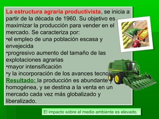 La estructura agraria productivista, se inicia a
partir de la década de 1960. Su objetivo es
maximizar la producción para vender en el
mercado. Se caracteriza por:
•el empleo de una población escasa y
envejecida
•progresivo aumento del tamaño de las
explotaciones agrarias
•mayor intensificación
•y la incorporación de los avances tecnológicos.
Resultado: la producción es abundante y
homogénea, y se destina a la venta en un
mercado cada vez más globalizado y
liberalizado.
La estructura agraria productivista, se inicia a
partir de la década de 1960. Su objetivo es
maximizar la producción para vender en el
mercado. Se caracteriza por:
•el empleo de una población escasa y
envejecida
•progresivo aumento del tamaño de las
explotaciones agrarias
•mayor intensificación
•y la incorporación de los avances tecnológicos.
Resultado: la producción es abundante y
homogénea, y se destina a la venta en un
mercado cada vez más globalizado y
liberalizado.
El impacto sobre el medio ambiente es elevado.El impacto sobre el medio ambiente es elevado.
 
