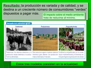 Resultado: la producción es variada y de calidad, y se
destina a un creciente número de consumidores “verdes”
dispuestos a pagar más.
Resultado: la producción es variada y de calidad, y se
destina a un creciente número de consumidores “verdes”
dispuestos a pagar más. El impacto sobre el medio ambiente
trata de reducirse al mínimo.
El impacto sobre el medio ambiente
trata de reducirse al mínimo.
Estos tres modelos coexisten en la actualidad.
 