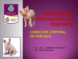 CONDICION CORPORALCONDICION CORPORAL
EN PORCINOSEN PORCINOS
M.C. ING. J. ROBERTO ESPINOZA P.M.C. ING. J. ROBERTO ESPINOZA P.
ING. PABLO DE ALBAING. PABLO DE ALBA
 