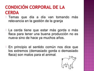 Temas que día a día van tomando más
relevancia en la gestión de la granja
 La cerda tiene que estar más gorda o más
flaca para tener una buena producción no es
nueva sino de hace ya muchos años.
 En principio el sentido común nos dice que
los extremos (demasiado gorda o demasiado
flaca) son malos para el animal.
 