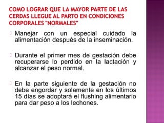 Manejar con un especial cuidado la
alimentación después de la inseminación.
 Durante el primer mes de gestación debe
recuperarse lo perdido en la lactación y
alcanzar el peso normal.
 En la parte siguiente de la gestación no
debe engordar y solamente en los últimos
15 días se adoptará el flushing alimentario
para dar peso a los lechones.
 