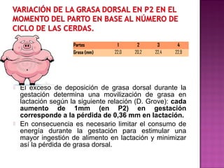  El exceso de deposición de grasa dorsal durante la
gestación determina una movilización de grasa en
lactación según la siguiente relación (D. Grove): cada
aumento de 1mm (en P2) en gestación
corresponde a la pérdida de 0,36 mm en lactación.
 En consecuencia es necesario limitar el consumo de
energía durante la gestación para estimular una
mayor ingestión de alimento en lactación y minimizar
así la pérdida de grasa dorsal.
Partes 1 2 3 4
Grasa (mm) 22,0 20,2 22,4 22,9
 