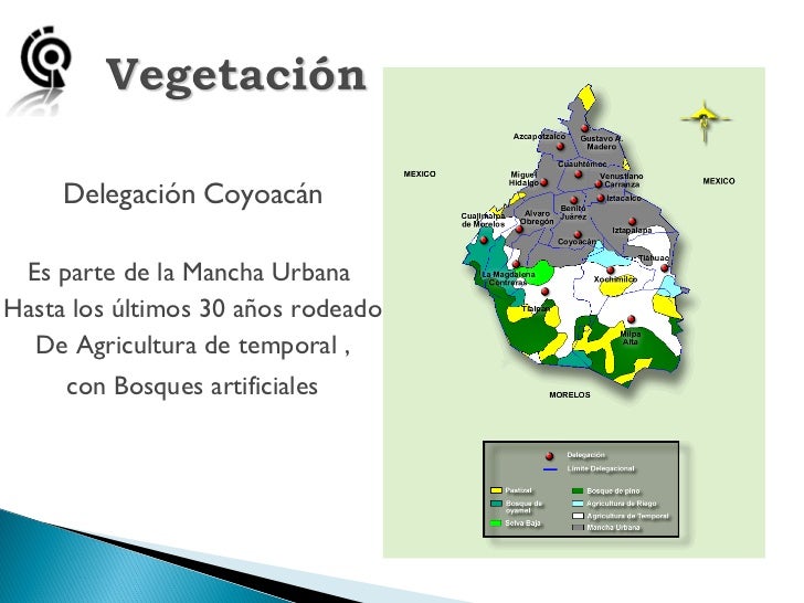 Clima Coyoacan Cheap Online [ 546 x 728 Pixel ]