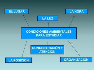EL LUGAR                          LA HORA

                   LA LUZ



           CONDICIONES AMBIENTALES
                PARA ESTUDIAR



              CONCENTRACIÓN Y
                 ATENCIÓN

LA POSICIÓN                     ORGANIZACIÓN
 