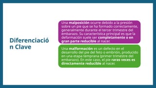 Diferenciació
n Clave
Una malposición ocurre debido a la presión
sobre un pie que se ha formado correctamente,
generalmente durante el tercer trimestre del
embarazo. Su característica principal es que la
deformación suele ser completamente o en
gran parte reducible al nacer.
Una malformación es un defecto en el
desarrollo del pie del feto o embrión, producido
en una etapa temprana (primer trimestre del
embarazo). En este caso, el pie raras veces es
directamente reducible al nacer.
 