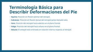 Terminología Básica para
Describir Deformaciones del Pie
• Equino: Posición en flexión plantar del retropié.
• Calcáneo: Posición en flexión dorsal del retropié (antes llamado talo).
• Varo: Posición del retropié hacia adentro en el plano frontal.
• Valgo: Posición del retropié hacia afuera en el plano frontal.
• Aducto: El antepié está orientado en rotación interna respecto al retropié.
 