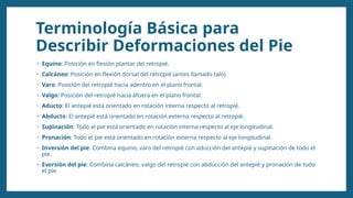 Terminología Básica para
Describir Deformaciones del Pie
• Equino: Posición en flexión plantar del retropié.
• Calcáneo: Posición en flexión dorsal del retropié (antes llamado talo).
• Varo: Posición del retropié hacia adentro en el plano frontal.
• Valgo: Posición del retropié hacia afuera en el plano frontal.
• Aducto: El antepié está orientado en rotación interna respecto al retropié.
• Abducto: El antepié está orientado en rotación externa respecto al retropié.
• Supinación: Todo el pie está orientado en rotación interna respecto al eje longitudinal.
• Pronación: Todo el pie está orientado en rotación externa respecto al eje longitudinal.
• Inversión del pie: Combina equino, varo del retropié con aducción del antepié y supinación de todo el
pie.
• Eversión del pie: Combina calcáneo, valgo del retropié con abducción del antepié y pronación de todo
el pie.
 