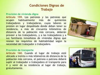 Condiciones Dignas de
Trabajo
Provisión de vivienda digna
Artículo 159. Los patronos y las patronas que
ocupen habitualmente más de quinientos
trabajadores y trabajadoras, cuyas labores se
presten en lugar despoblado donde deban tener su
residencia, a más de cincuenta kilómetros de
distancia de la población más cercana, deberán
proveer a los trabajadores, y a las trabajadoras y a
sus familiares inmediatos de viviendas dignas que
reúnan los requisitos de habitabilidad según la
necesidad del trabajador o trabajadora.
Provisión de transporte
Artículo 160. Cuando el lugar de trabajo esté
ubicado a treinta o más kilómetros de distancia de la
población más cercana, el patrono o patrona deberá
suplir al trabajador o trabajadora el transporte para
ir y venir de su residencia al lugar de trabajo,
gratuitamente.
 