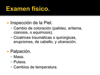    Inspección de la Piel.
     Cambio de coloración (palidez, eritema,
      cianosis, o equimosis).
     Cicatrices traumáticas o quirúrgicas,
      erupciones, de cabello, y ulceración.

   Palpación.
     Masa.
     Pulsos.
     Cambios de temperatura.
 