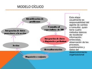MODELO CÍCLICO
Identificación de
problemas
Consulta al
especialista de DO
Integración de datos
y diagnóstico preliminar
Retroalimentación
Diagnóstico conjunto
Acción
Integración de datos
posteriores a la acción
Esta etapa
usualmente es
responsabilidad del
agente de cambio
o consultor, quien
tiene cuatro
métodos básicos
de recolectar
información:
entrevistas,
observación de los
procesos,
cuestionarios y
datos del
desenvolvimiento
organizacional
 