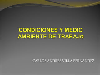 CARLOS ANDRES VILLA FERNANDEZ
 