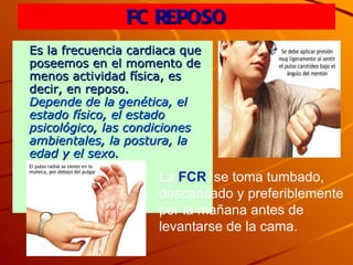 FC REPOSO Es la frecuencia cardiaca que poseemos en el momento de menos actividad física, es decir, en reposo.   Depende de la genética, el estado físico, el estado psicológico, las condiciones ambientales, la postura, la edad y el sexo.   La  FCR   se toma tumbado, descansado y preferiblemente por la mañana antes de levantarse de la cama.  