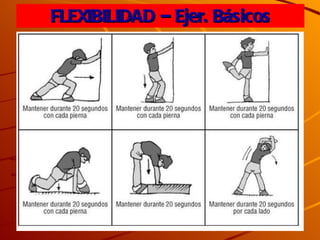FLEXIBILIDAD – Ejer. Básicos 