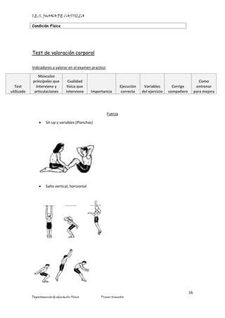 I.E.S. JUANA DE CASTILLA
Condición Física
16
Departamento de educación Física Primer trimestre
Test de valoración corporal
Indicadores a valorar en el examen practico
Test
utilizado
Músculos
principales que
interviene y
articulaciones
Cualidad
física que
interviene Importancia
Ejecución
correcta
Variables
del ejercicio
Corrige
compañero
Como
entrenar
para mejora
Fuerza
• Sit-up y variables (Planchas)
• Salto vertical, horizontal
 
