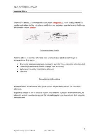 I.E.S. JUANA DE CASTILLA
Condición Física
5
Departamento de educación Física Primer trimestre
intervención directa, la llamamos entonces función antagonista, y puede participar también
colaborando a base de fijar estructuras anatómicas que participan secundariamente, hablamos
entonces de función fijadora.
Entrenamiento en circuito
Factores a tener en cuenta a la hora de crear un circuito cuyo objetivo sea trabajar el
entrenamiento de la fuerza:
• Diferenciar localizaciones grupos musculares que intervienen (ejercicios seleccionados)
• Duración (número de estaciones o tiempo total de circuito)
• Volumen e intensidad (repeticiones o tiempo)
• Descanso
Concepto repetición máxima
Podemos definir el RM como el peso que es posible desplazar una sola vez con una técnica
adecuada.
Es positivo conocer el RM en todos los sujetos para controlar el proceso de entrenamiento, no
obstante, tanto la importancia como el RM calculado es diferente dependiendo de la situación
de cada sujeto.
 