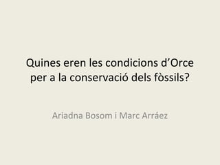 Quines eren les condicions d’Orce
per a la conservació dels fòssils?
Ariadna Bosom i Marc Arráez
 