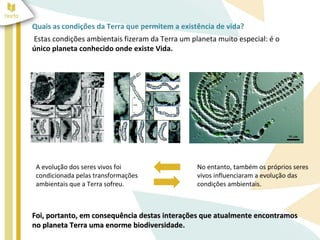 Quais as condições da Terra que permitem a existência de vida? 
Estas condições ambientais fizeram da Terra um planeta muito especial: é o 
único planeta conhecido onde existe Vida. 
A evolução dos seres vivos foi 
condicionada pelas transformações 
ambientais que a Terra sofreu. 
No entanto, também os próprios seres 
vivos influenciaram a evolução das 
condições ambientais. 
Foi, portanto, em consequência destas interações que aattuuaallmmeennttee eennccoonnttrraammooss 
nnoo ppllaanneettaa TTeerrrraa uummaa eennoorrmmee bbiiooddiivveerrssiiddaaddee.. 
 
