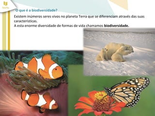 O que é a biodiversidade? 
Existem inúmeros seres vivos no planeta Terra que se diferenciam através das suas 
características. 
A esta enorme diversidade de formas de vida chamamos biodiversidade. 
 