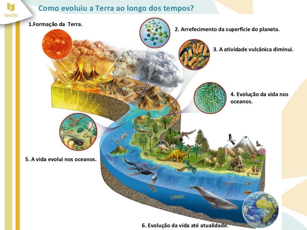 Condições da terra que permitem a existência da vida