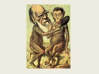 Condições de produção e circulação