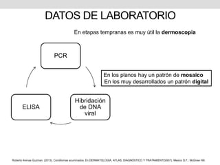 DATOS DE LABORATORIO
PCR
Hibridación
de DNA
viral
ELISA
En etapas tempranas es muy útil la dermoscopia
En los planos hay un patrón de mosaico
En los muy desarrollados un patrón digital
Roberto Arenas Guzman. (2013). Condilomas acuminados. En DERMATOLOGÍA, ATLAS, DIAGNÓSTICO Y TRATAMIENTO(937). Mexico D.F.: McGraw Hill.
 