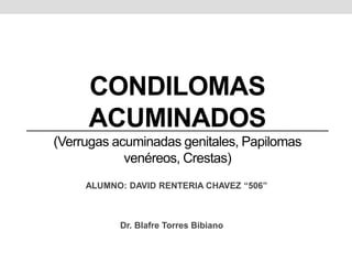 CONDILOMAS
ACUMINADOS
(Verrugas acuminadas genitales, Papilomas
venéreos, Crestas)
Dr. Blafre Torres Bibiano
ALUMNO: DAVID RENTERIA CHAVEZ “506”
 