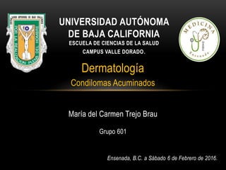 Dermatología
Condilomas Acuminados
María del Carmen Trejo Brau
Grupo 601
Ensenada, B.C. a Sábado 6 de Febrero de 2016.
UNIVERSIDAD AUTÓNOMA
DE BAJA CALIFORNIA
ESCUELA DE CIENCIAS DE LA SALUD
CAMPUS VALLE DORADO.
 