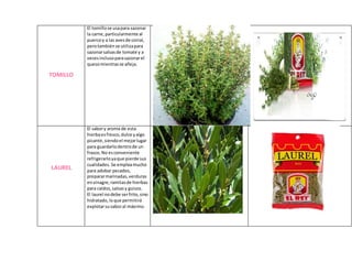TOMILLO
El tomillose usapara sazonar
la carne,particularmente al
puercoy a las avesde corral,
perotambiénse utilizapara
sazonarsalsasde tomate y a
vecesinclusoparasazonarel
quesomientrasse añeja.
LAUREL
El sabory aroma de esta
hierbaesfresco,dulce yalgo
picante,siendoel mejorlugar
para guardarlodentrode un
frasco.No esconveniente
refrigerarloyaque pierde sus
cualidades. Se empleamucho
para adobar pecados,
prepararmarinadas,verduras
envinagre,ramitasde hierbas
para caldos,salsasy guisos.
El laurel nodebe serfrito, sino
hidratado,loque permitirá
explotarsusaboral máximo.
 