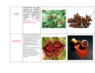 ANÍS
Proceden de una planta
silvestre con hermosas
flores malvas y blancas.
Se usan principalmente
en guisos y estofados de
lechazo y carne roja.
También se utilizan
con pescados
ahumados y otros
alimentos salados.
ACHIOTE
Es un árbol de rápido crecimiento
que se cultiva en zonas de clima
húmedo y cálido.Al machacar sus
semillasseobtiene un colorante
de un tono amarillo fuerteo
anaranjado y sesuele utilizar en
determinados guisos,como
sustituto del azafrán,para darles
color.
Las semillas seindustrializan para
extraer el colorantey
comercializarlo en forma de
pasta o de extracto líquido.La
producción de achiotese obtiene
entre los meses de agosto a
diciembre.
 