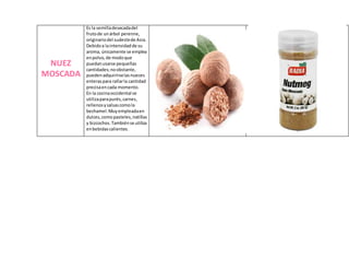 NUEZ
MOSCADA
Es la semilladesecadadel
frutode unárbol perenne,
originariodel sudestede Asia.
Debidoa laintensidadde su
aroma, únicamente se emplea
enpolvo,de modoque
puedanusarse pequeñas
cantidades;noobstante,
puedenadquirirselasnueces
enteraspara rallarla cantidad
precisaencada momento.
En la cocinaoccidental se
utilizaparapurés,carnes,
rellenosysalsascomola
bechamel.Muyempleadaen
dulces,comopasteles,natillas
y bizcochos.Tambiénse utiliza
enbebidascalientes.
 