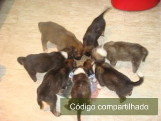 Código compartilhado
 