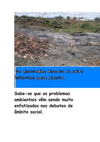 Sabe-se que os problemas
ambientais vêm sendo muito
enfatizados nos debates de
âmbito social.
 