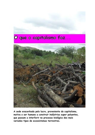 A sede exacerbada pelo lucro, proveniente do capitalismo,
motiva o ser humano a construir indústrias super poluentes,
que passam a interferir no processo biológico dos mais
variados tipos de ecossistemas terrestres.
 