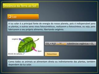 Distância da Terra ao Sol
A luz solar é a principal fonte de energia do nosso planeta, pois é indispensável para
as plantas, e outros seres vivos fotossintéticos, realizarem a fotossíntese, ou seja, para
fabricarem o seu próprio alimento, libertando oxigénio.
CO2 + H20 luz substâncias orgânicas + O2
Fotossíntese
 Luz
Como todos os animais se alimentam direta ou indiretamente das plantas, também
dependem da luz solar.
 