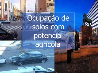 Ocupação de solos com potencial agrícola   