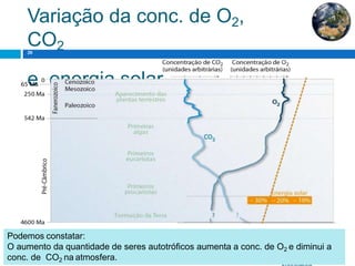 Variação da conc. de O2,
CO2
e energia solar
20
Profª Sandra
Podemos constatar:
O aumento da quantidade de seres autotróficos aumenta a conc. de O2 e diminui a
conc. de CO2 na atmosfera.
 