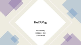 TheCPUflags
Presented By:
(20011519-033)
Usama Aslam
 