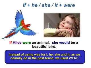Conditionals | PDF